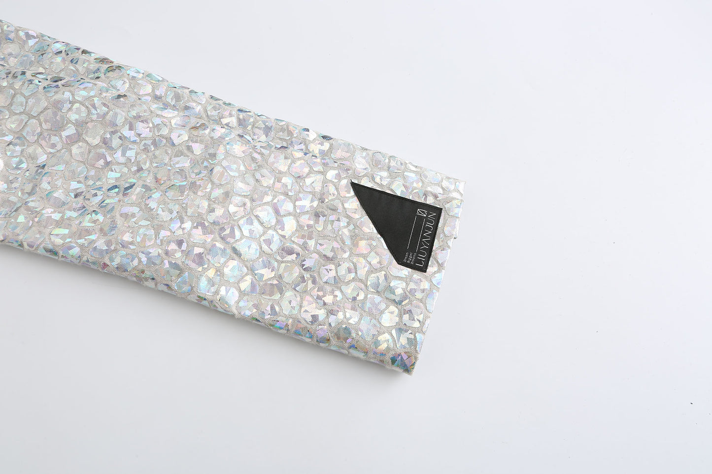 Silver Fish Scale Coat