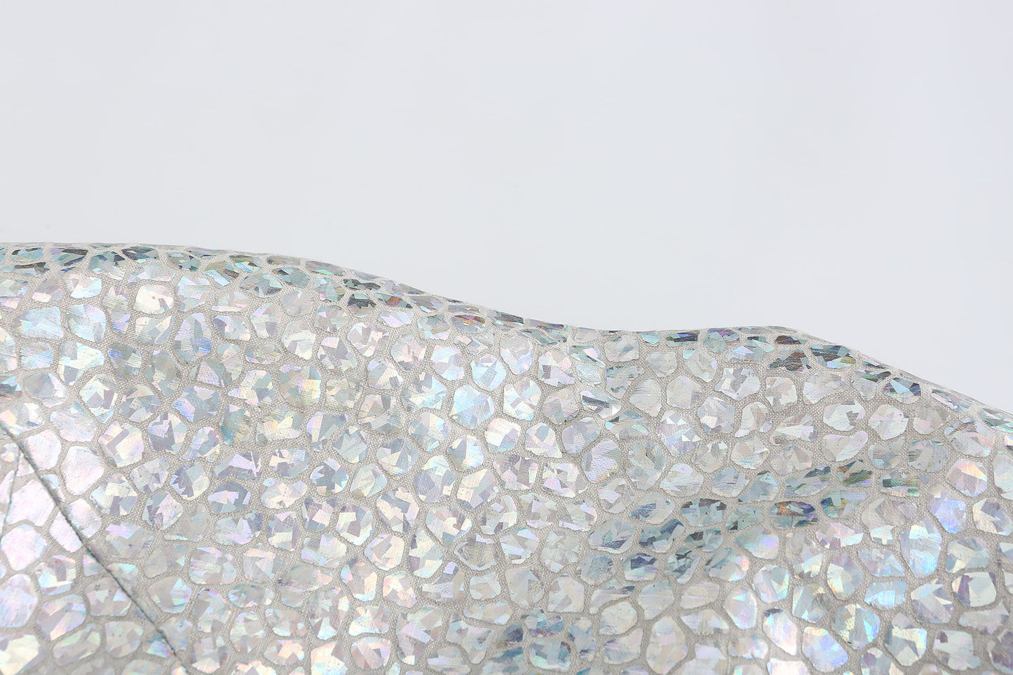 Silver Fish Scale Coat