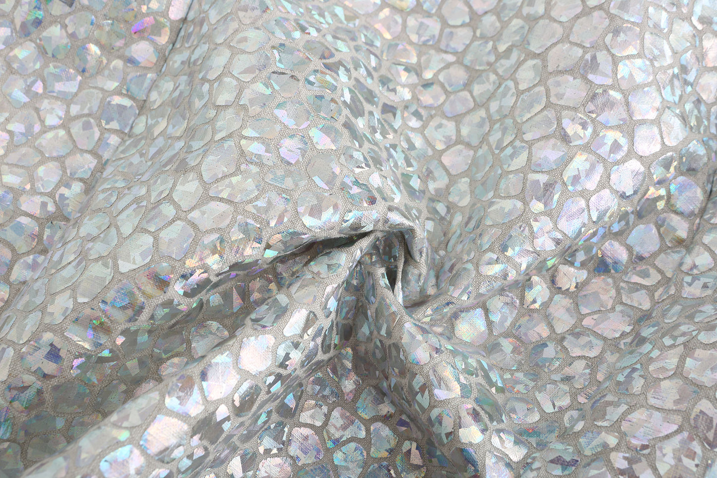Silver Fish Scale Coat